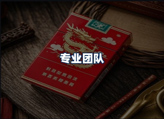 专业团队